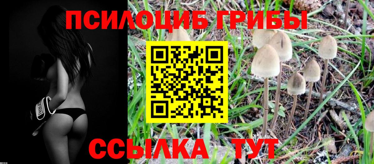 Псилоцибиновые грибы мицелий  Вход с VPN  где купить   Ульяновск 